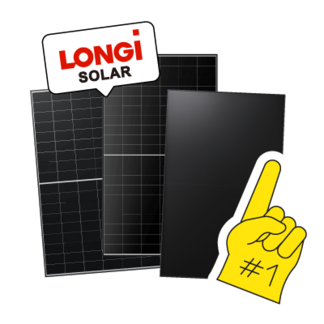 longi-one