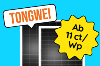 Tongwei Module bei Memodo