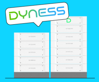 dyness-stack-100
