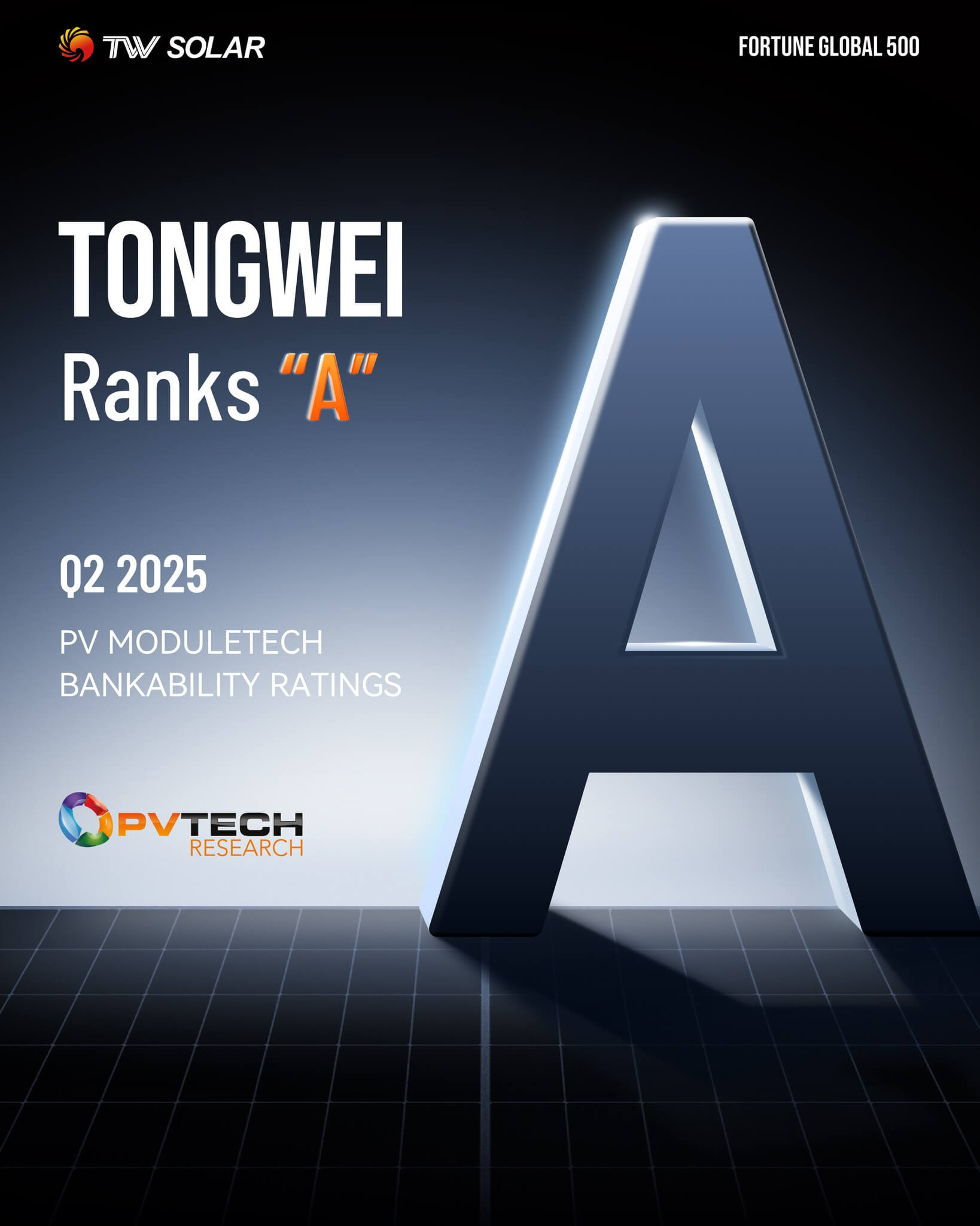 Tongwei Bankability TW Solar Doppelglas TWMNH-48HW 465W