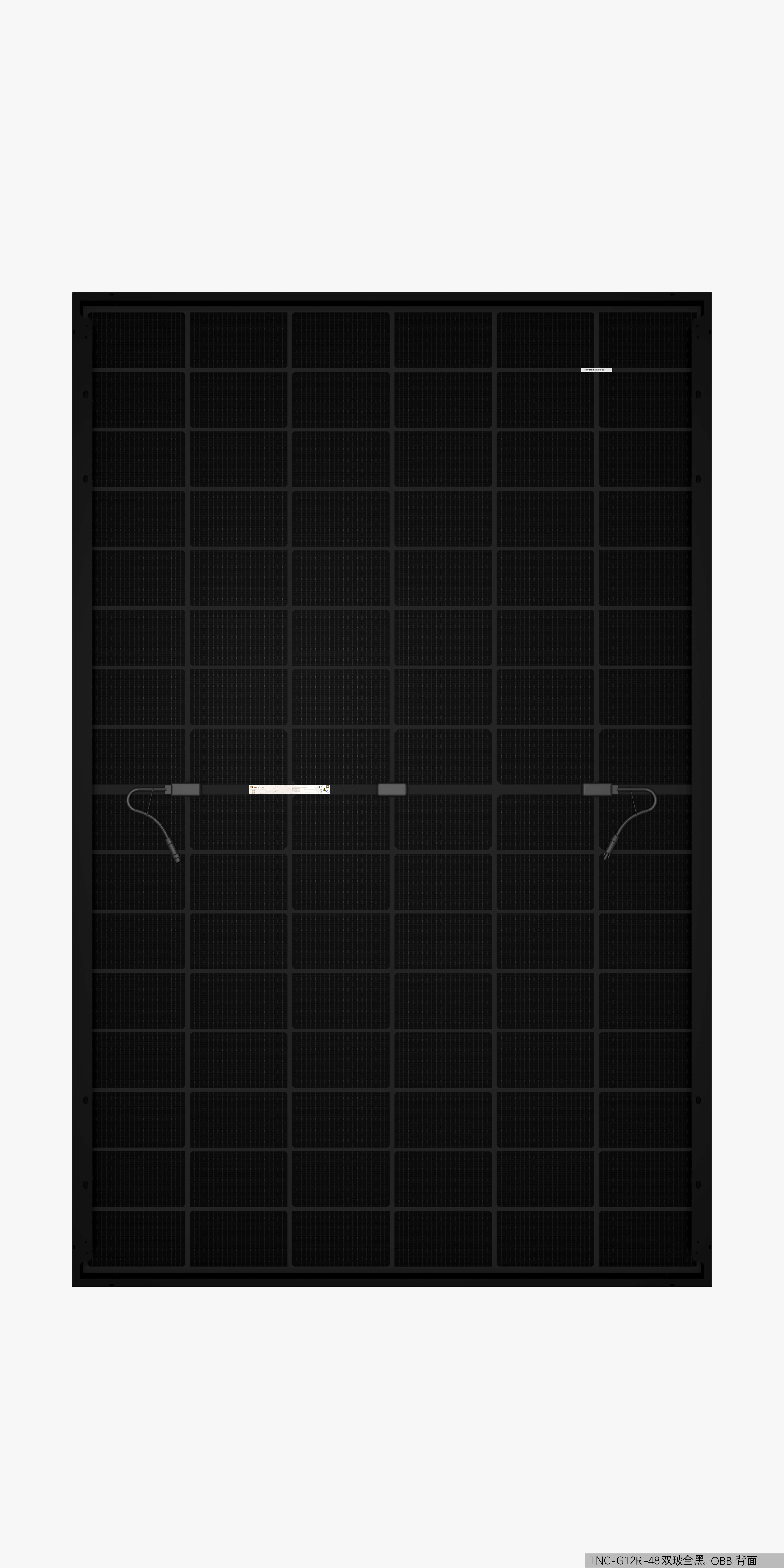 TW Solar Doppelglas TWMNH-48HE 460W
