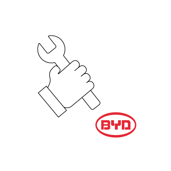 BYD Inbetriebnahmeservice C130/230 - AT